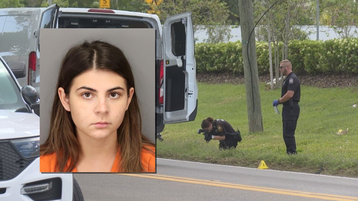 Woman Arrested After Hit And Run Investigation In Pinellas Park Wtsp