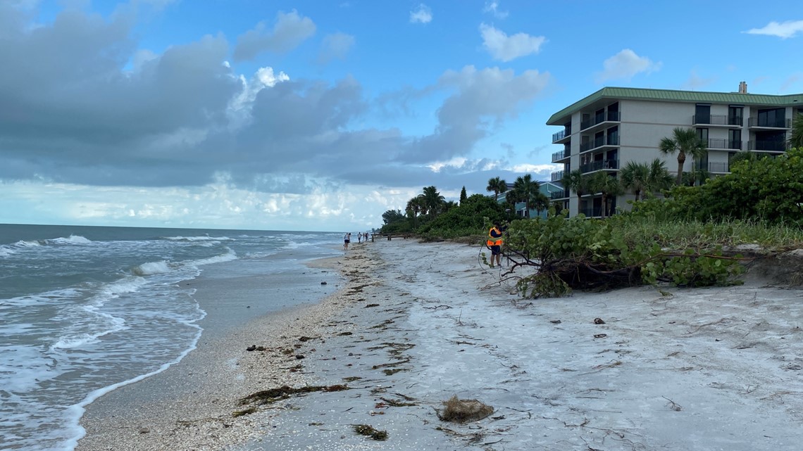 Pinellas County Officials Assess Hurricane Idalia Damage Wtsp