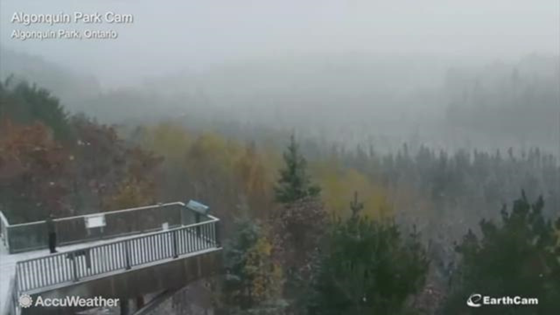 Canada's Algonquin Park had a spectacular sight of snow falling on the fall foliage on October 18.