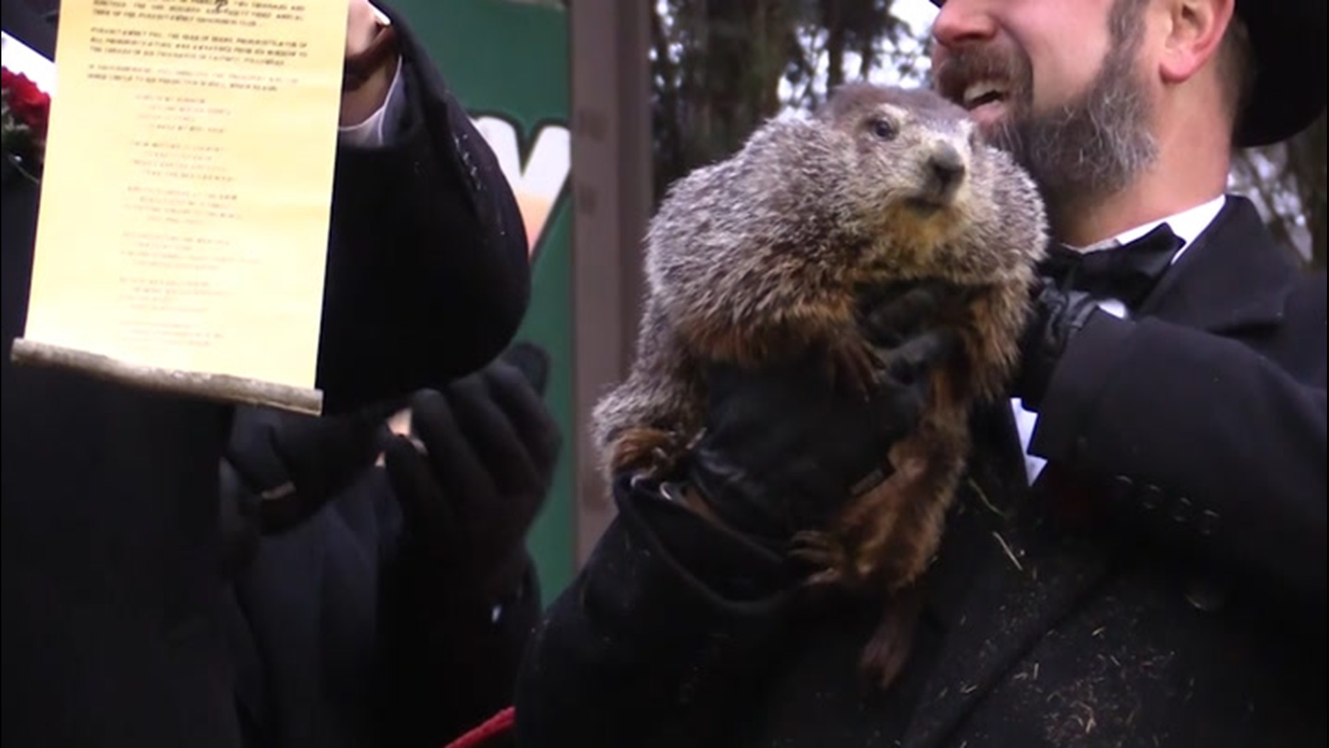 Before Punxsutawney Phil was making predictions for an early spring, another animal was used by German settlers before they brought their animal weather-predicting tradition to America. Let's learn about the origins of Groundhog Day.