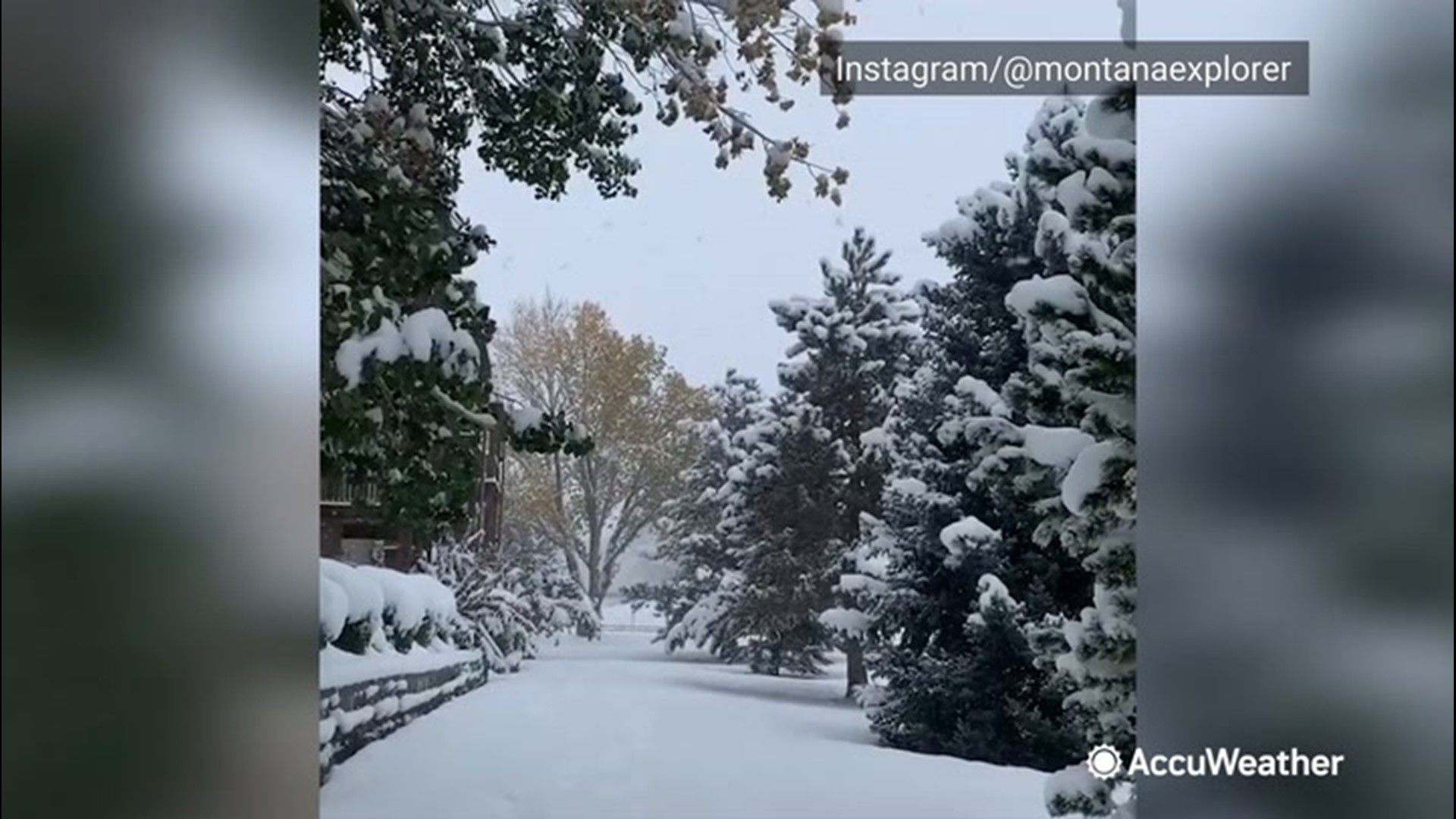 Wet snowflakes stick to trees, cars and road surfaces in Billings, Montana, on Oct. 18.