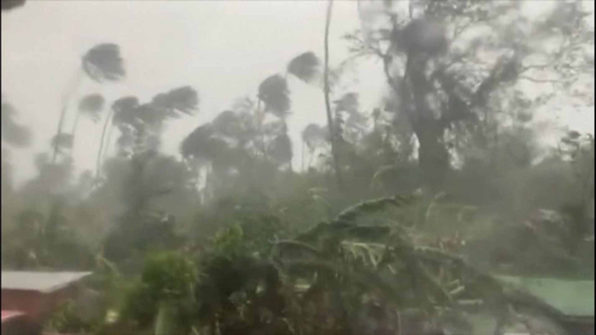 Trees were downed and roads were flooded as Tropical Storm Molave swept through the Philippines on Oct. 26.