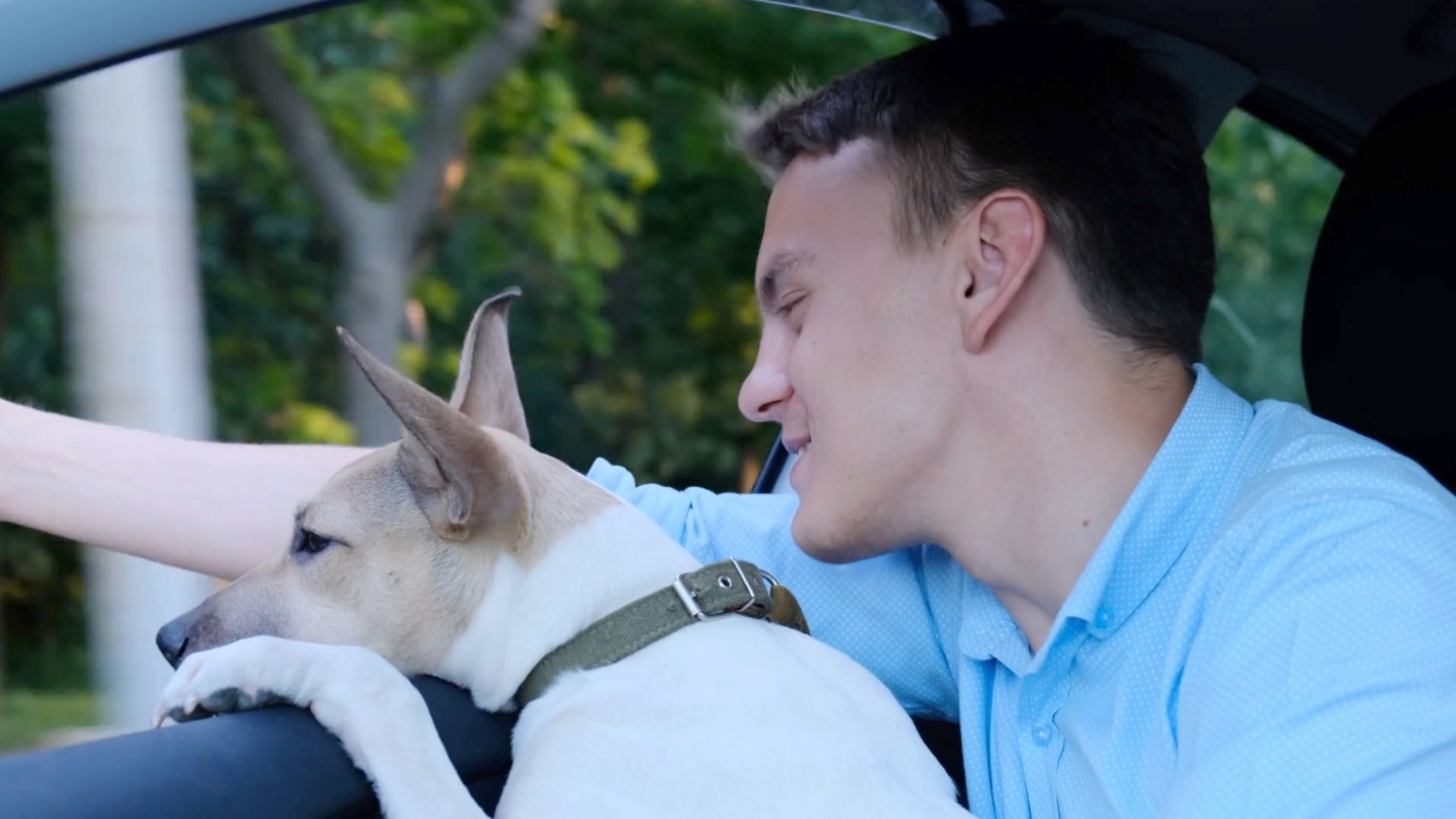 does uber allow dogs