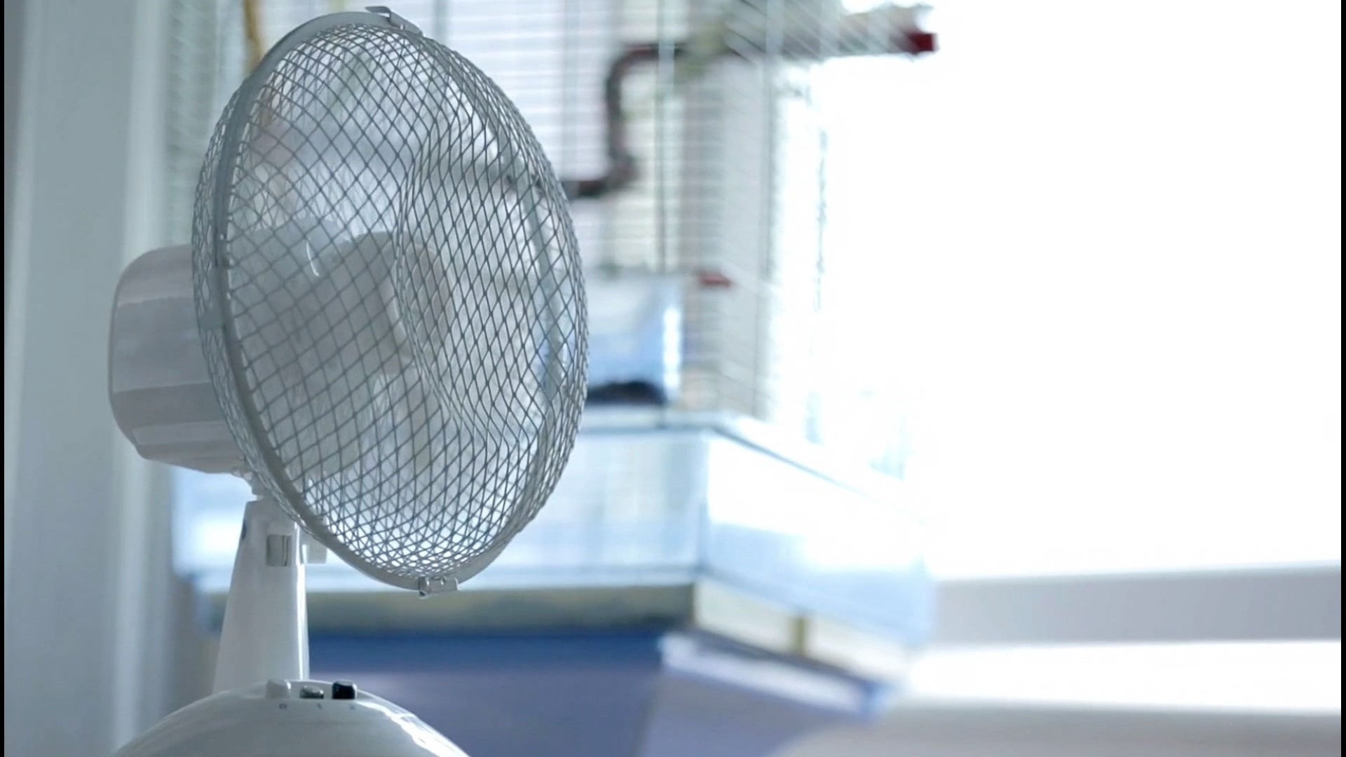Beat The Summer Heat With 5 Fans That Feel Like Air Conditioners Wtspcom