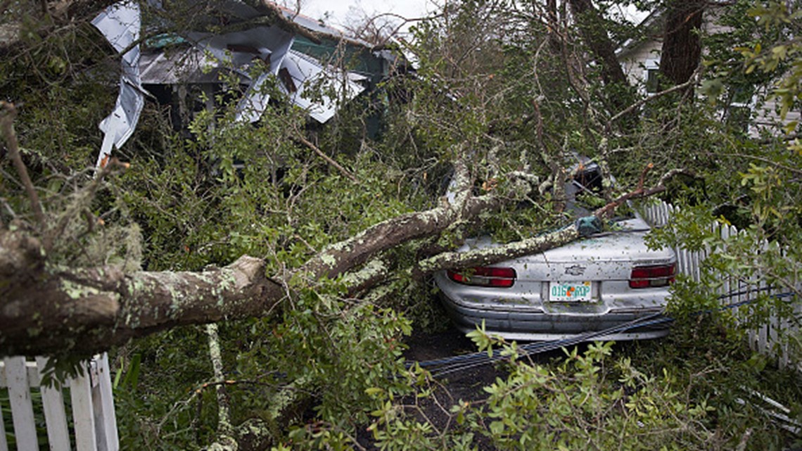 Hurricane Michael Downs Countless Trees In Marianna Florida