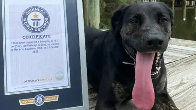 Louisiana dog breaks world record for longest tongue