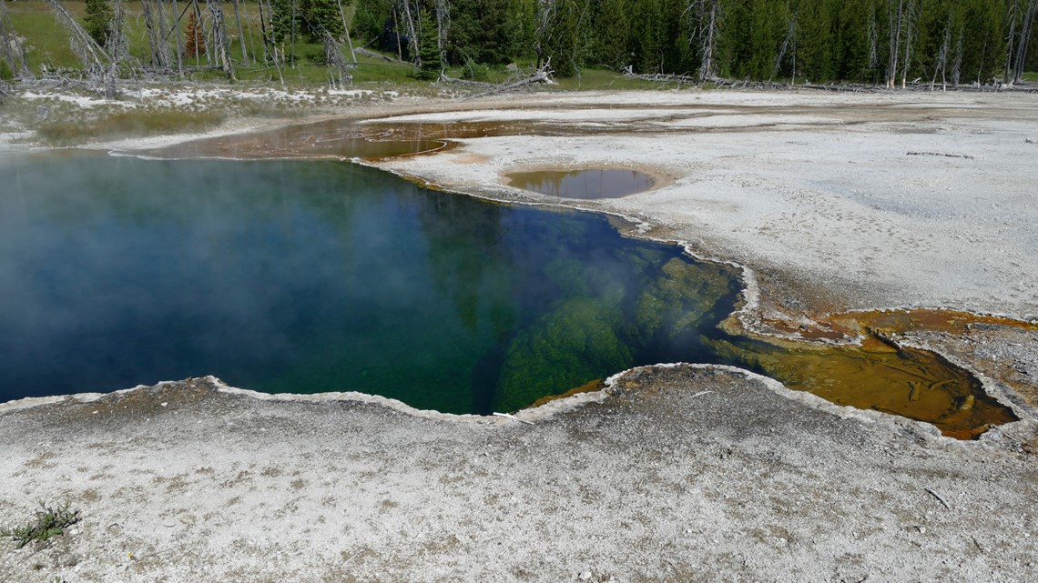 Foot found floating in Yellowstone Abyss Pool hot spring - Vimarsana News