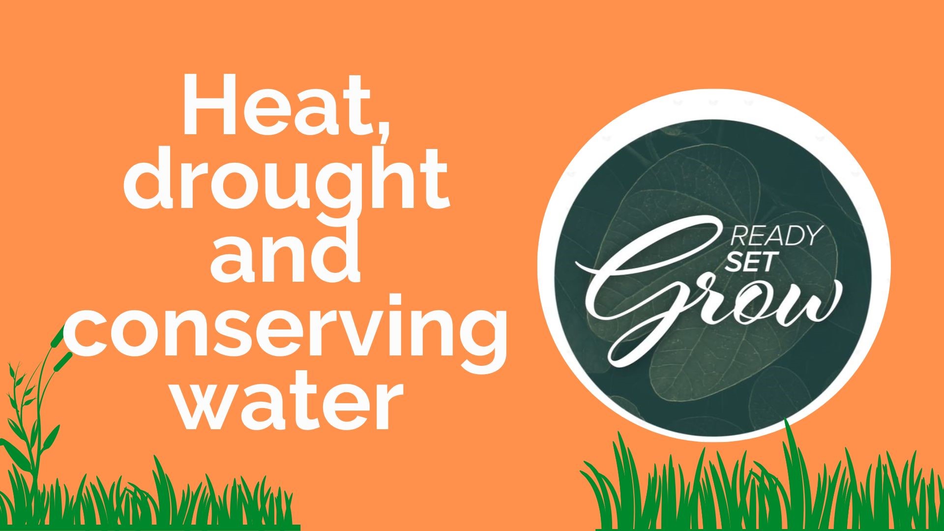 Tips on how you can keep your plants and lawns happy in the heat, as well as ways you can conserve water and protect your plants from drought.