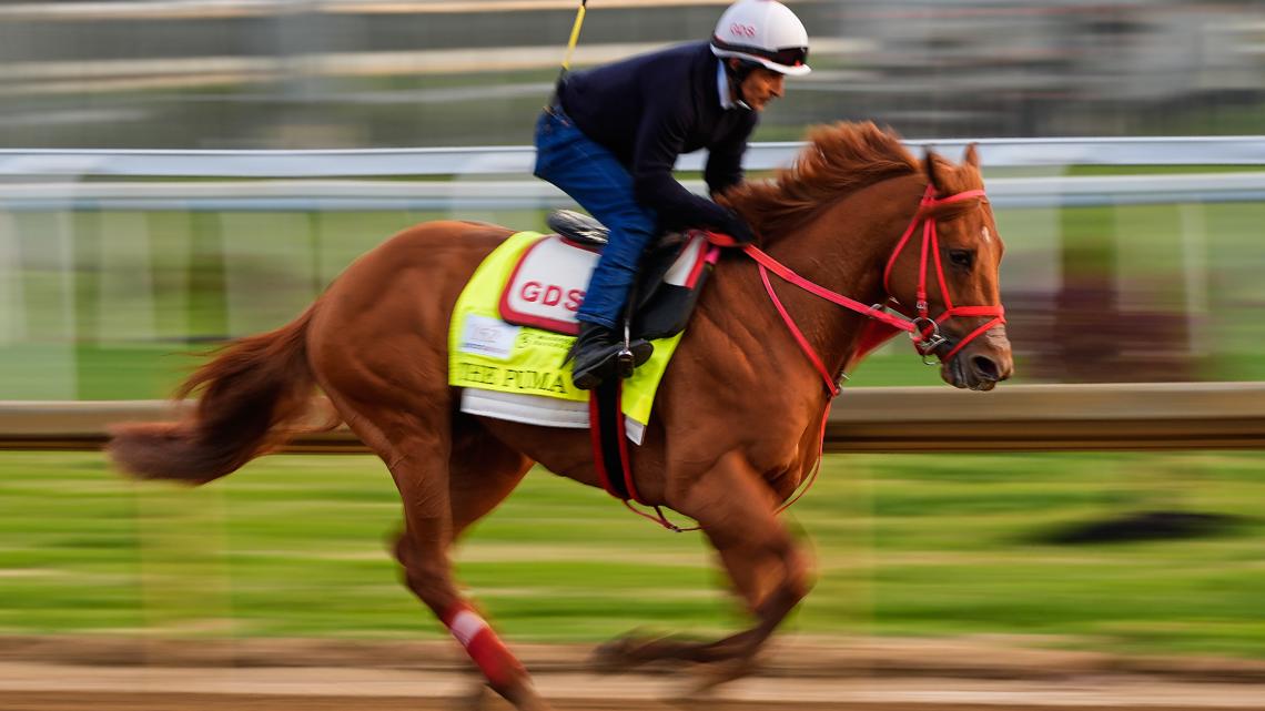 Only 19 horses racing in the Kentucky Derby after last-minute scratch of The Puma