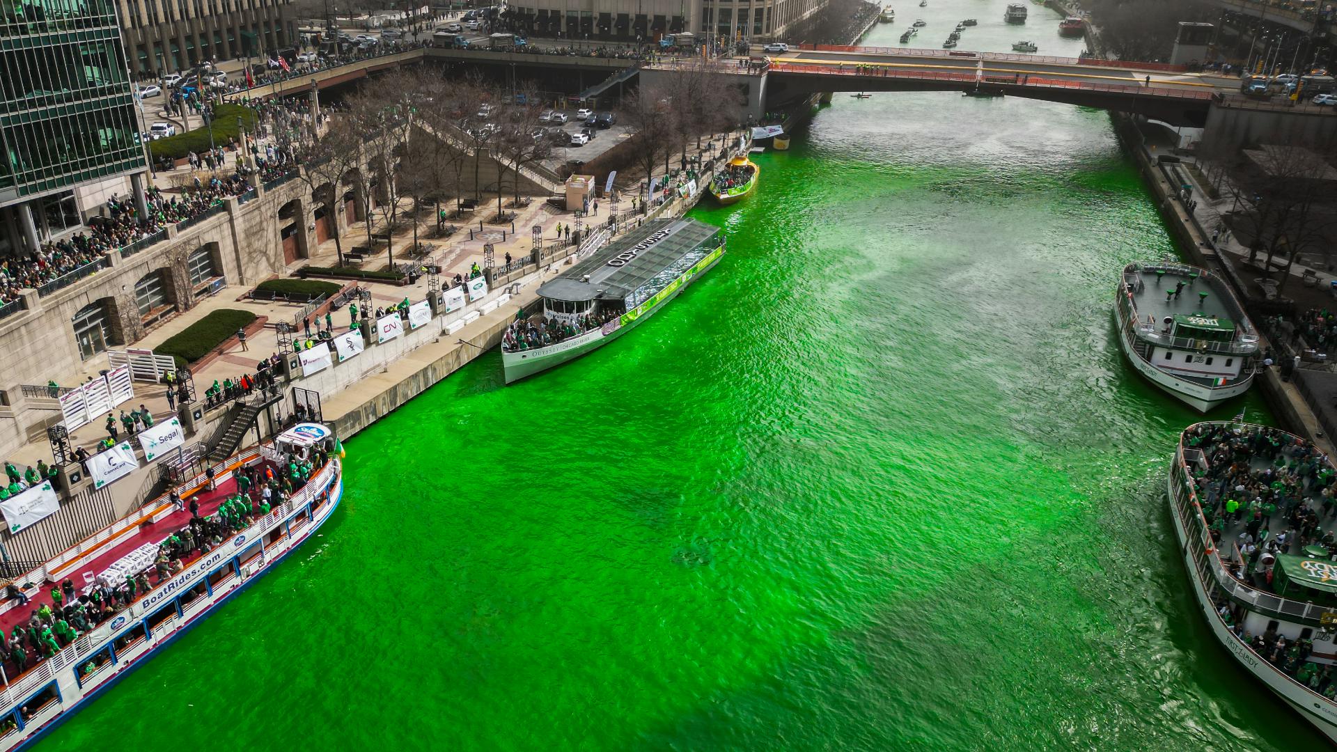 st patty day tampa