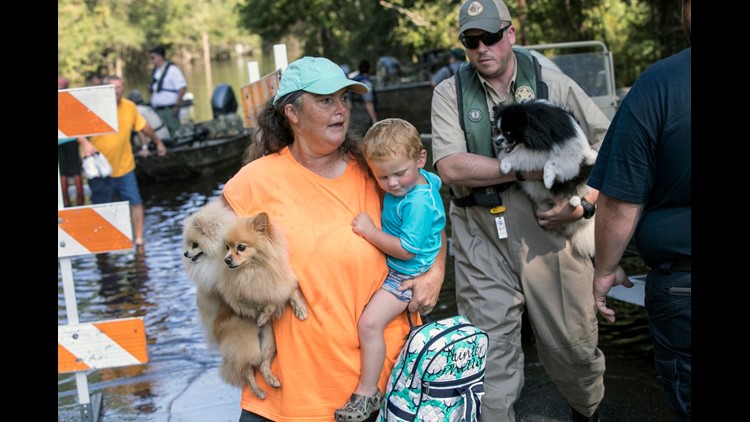 An animal rescuer in North Carolina was arrested after trying to help shelter animals after Hurricane Florence