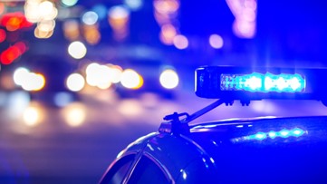 Deputies: Lakeland man ejected from car dies in single-car crash