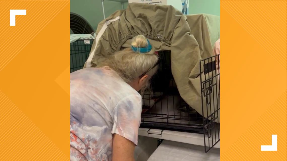 Woman reunites with cats lost in July 4th flooding