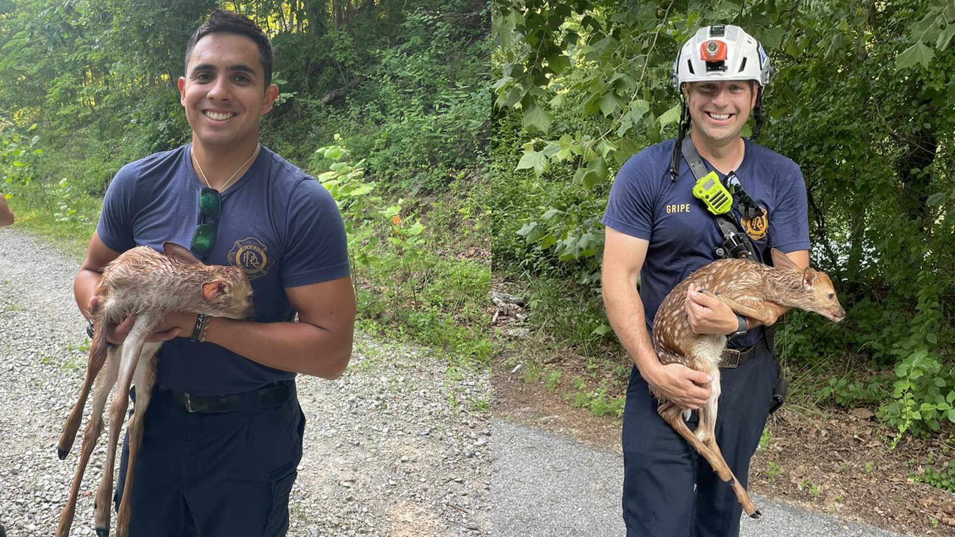 The exhausted baby deer was reportedly stranded and drowning in Lake Atalanta before being rescued by the Rogers Fire Department.