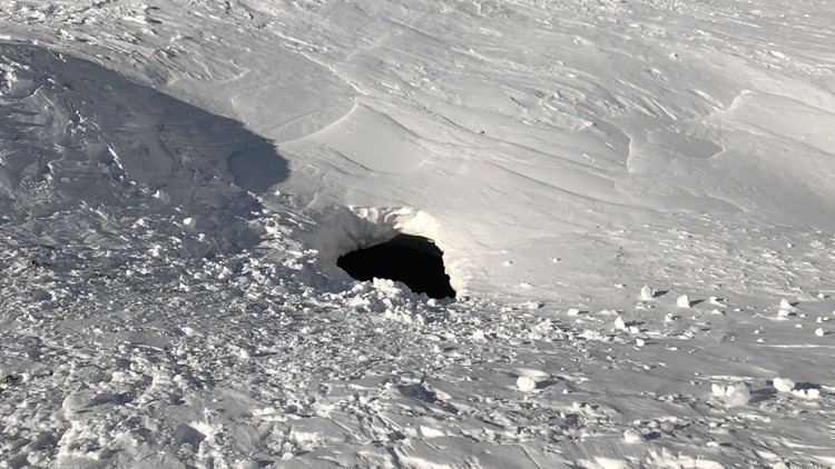 Woman survives 15-foot fall into fumarole on Mt. Hood | wtsp.com