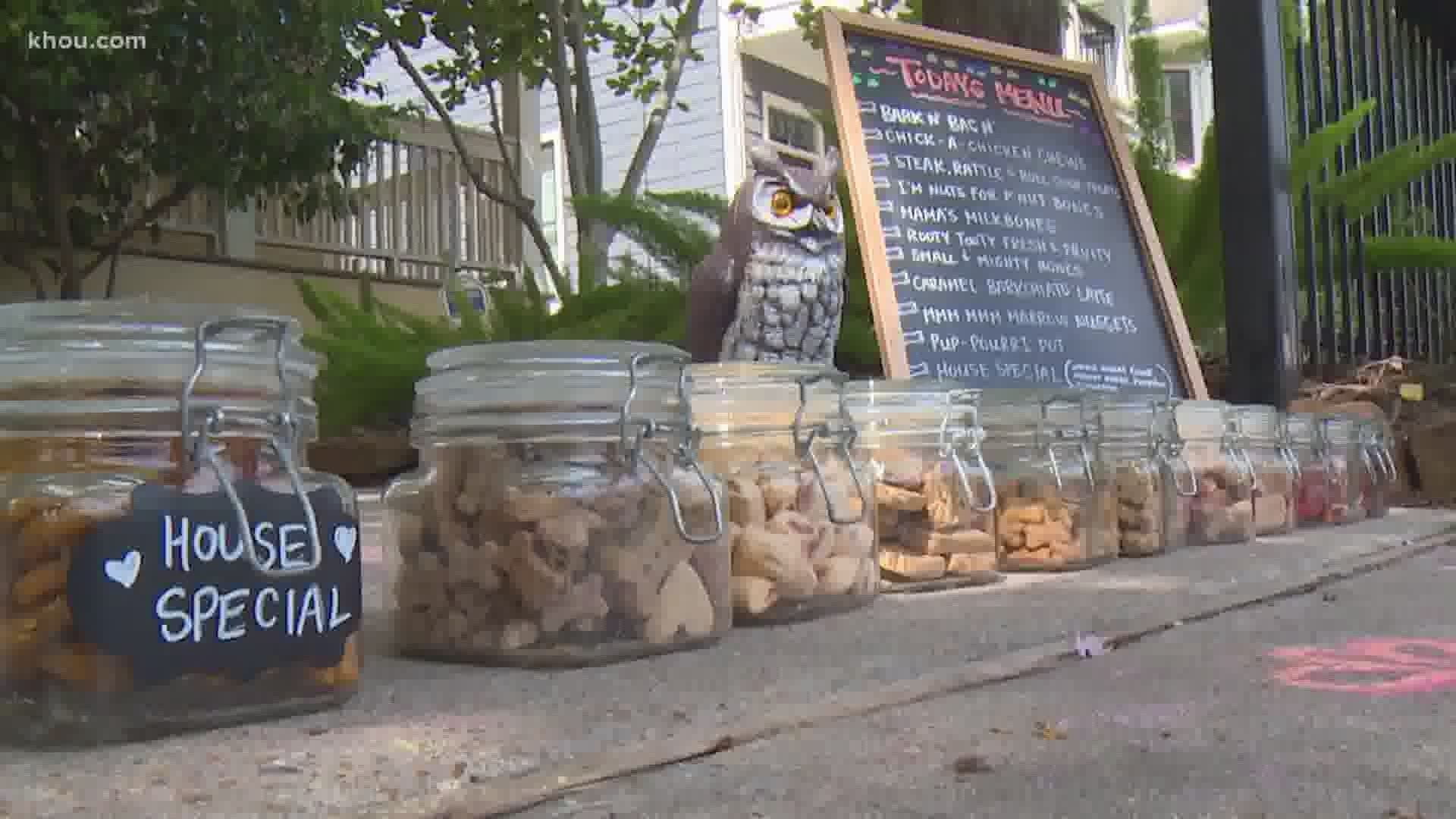 This Houston woman's "bone buffet" for furry friends is popular among pet owners.