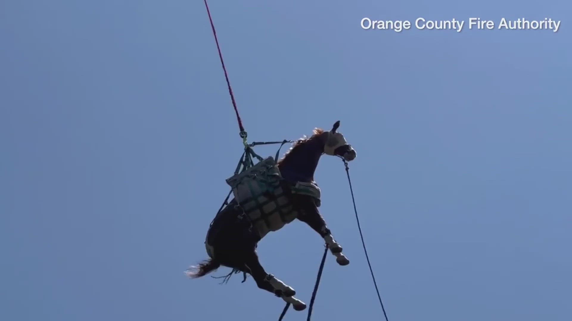 Sobe was rescued after slipping on a trail in San Juan Capistrano on Friday.