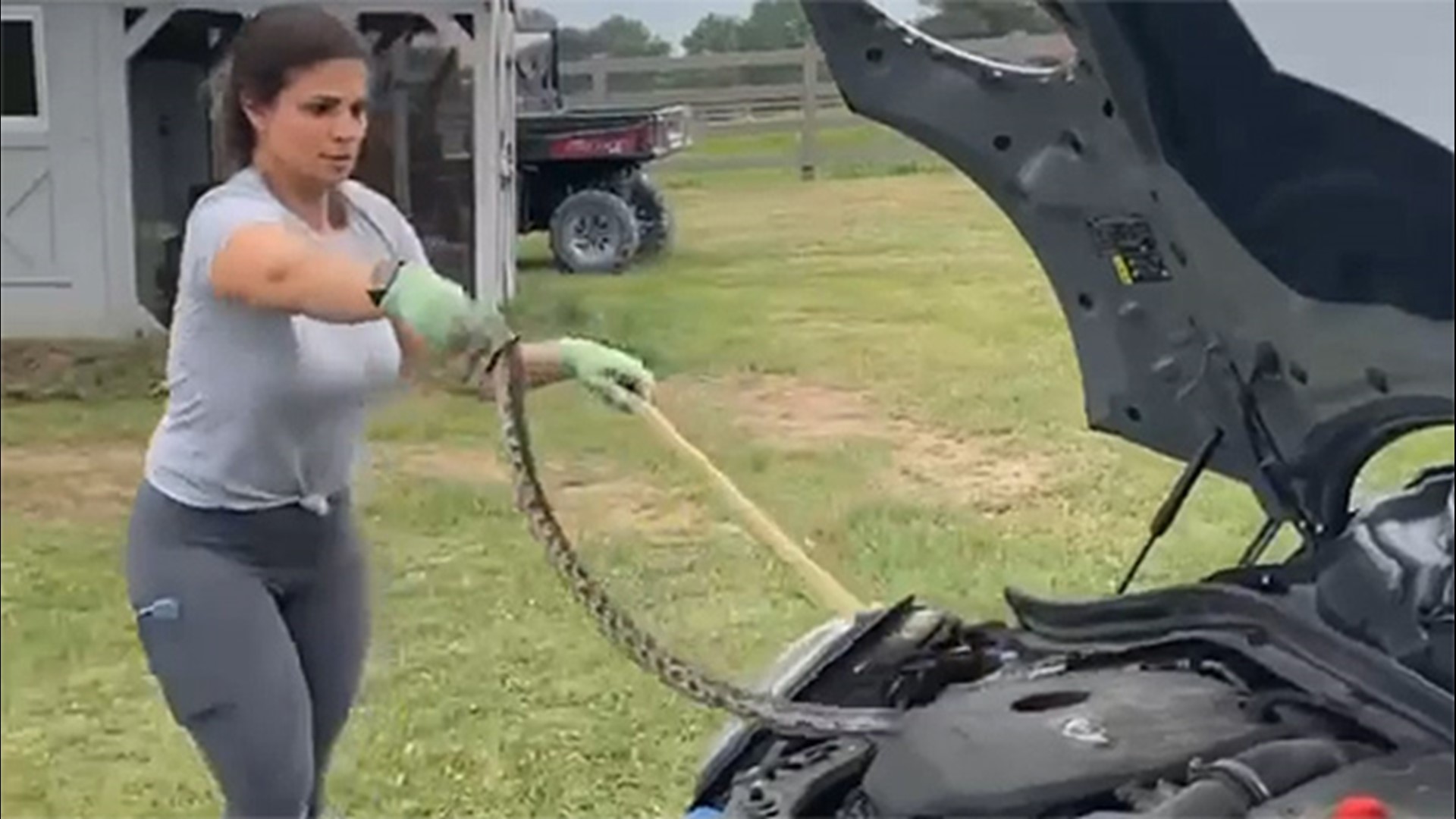 Nicole Graham was in Burton, Texas, at a client's house when a snake from a chicken coop got under her daughter's hood.  Here's how she handled it.