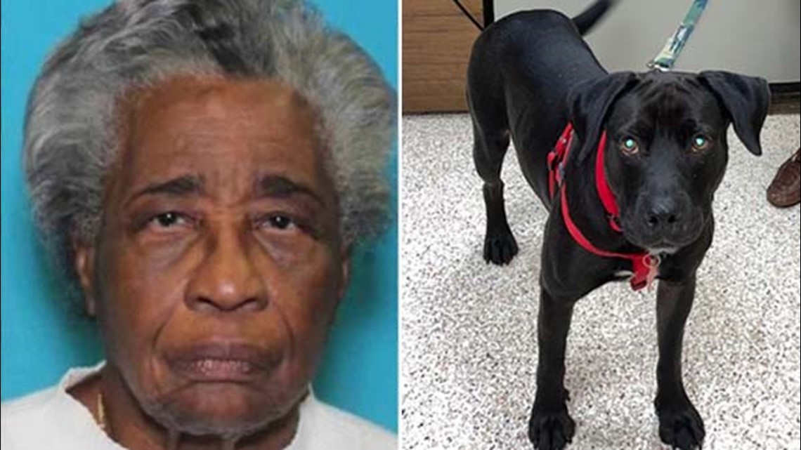 Missing: 84-year-old woman and her dog missing in SW Houston - Vimarsana News
