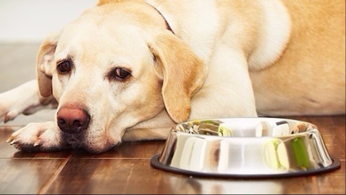 FDA expands Hills dog food recall to include 25 canned products