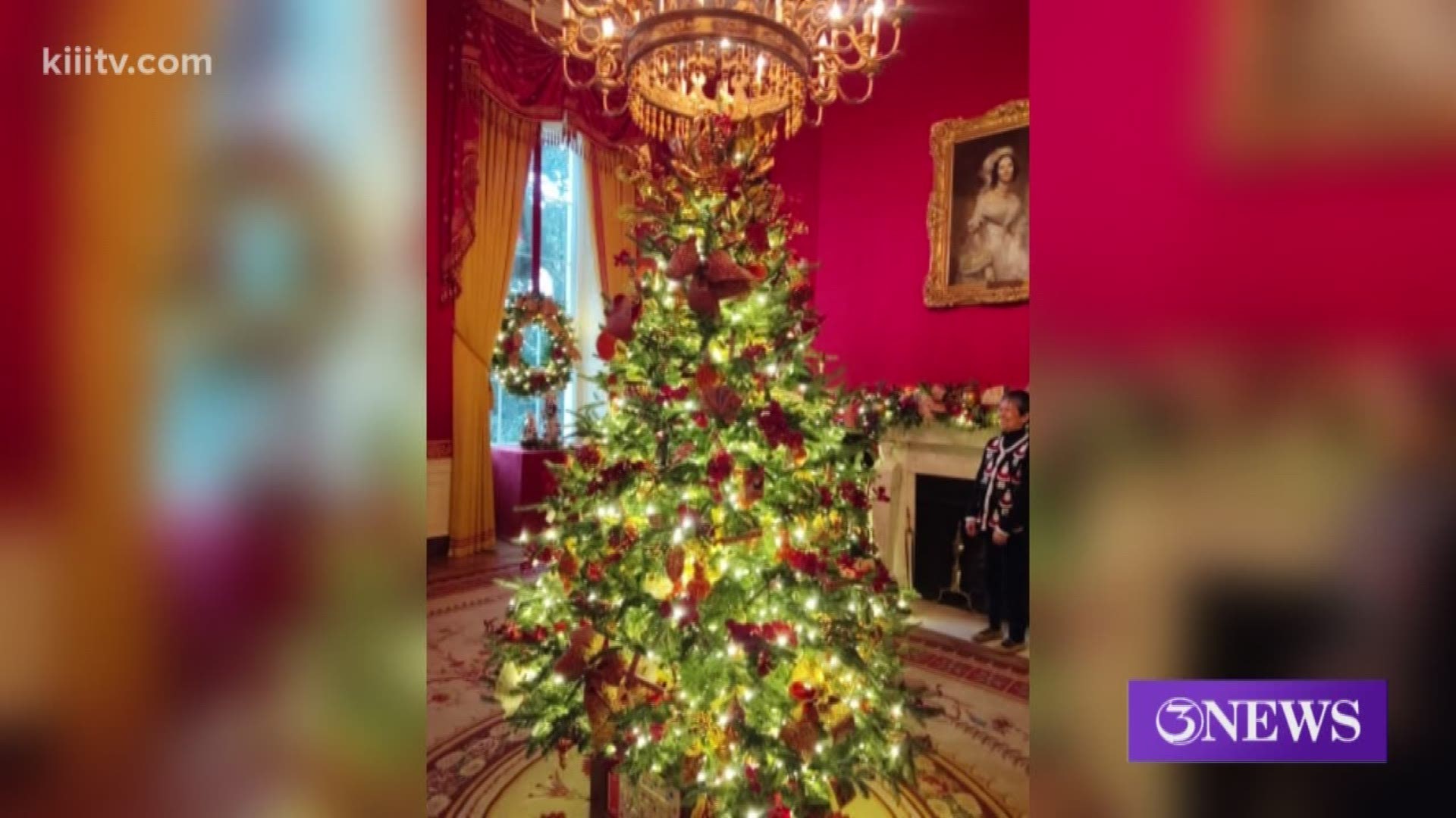 Adrian Alaniz of Sinton, Texas, was one of several people who had the chance to visit Washington D.C. and help decorate the White House.
