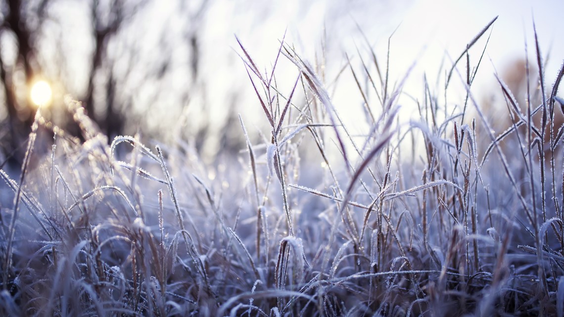 Some Floridians saw a rare white Christmas | wtsp.com