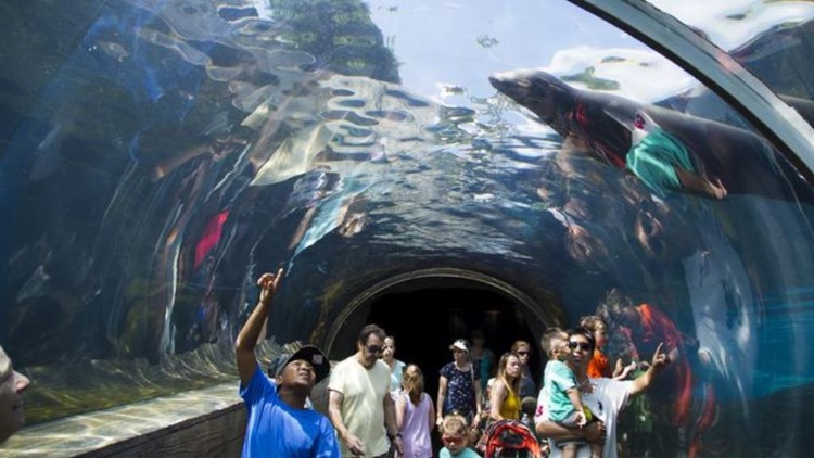 Saint Louis Zoo to host 2 job fairs to hire seasonal workers | www.bagssaleusa.com/product-category/speedy-bag/