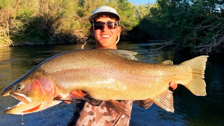 Rexburg man lands new state record Yellowstone cutthroat