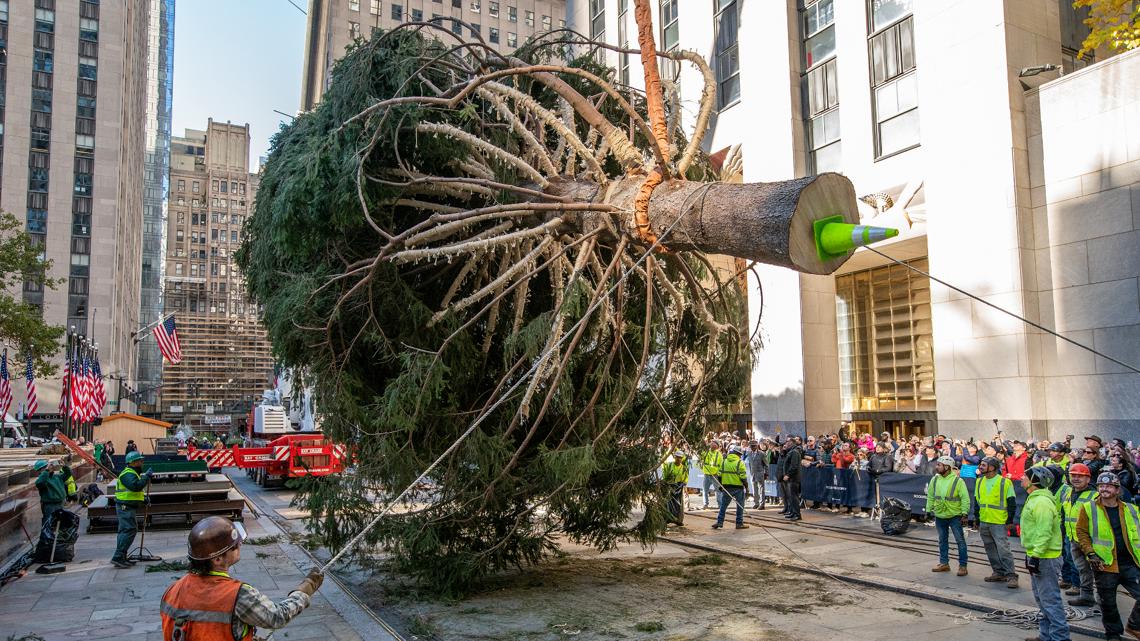 2023 Rockefeller Center Christmas tree arrives in New York City