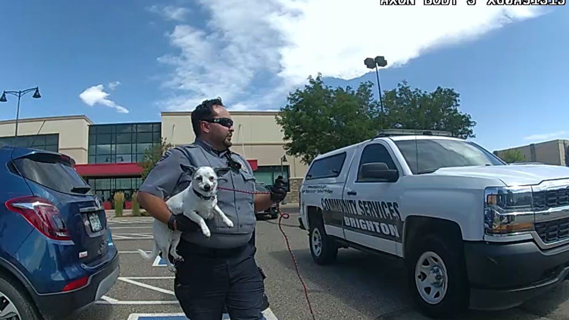 Colorado cops break window of hot car to rescue dog, ticket owner