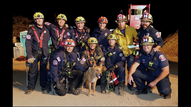 Blind dog rescued from hole at California construction site