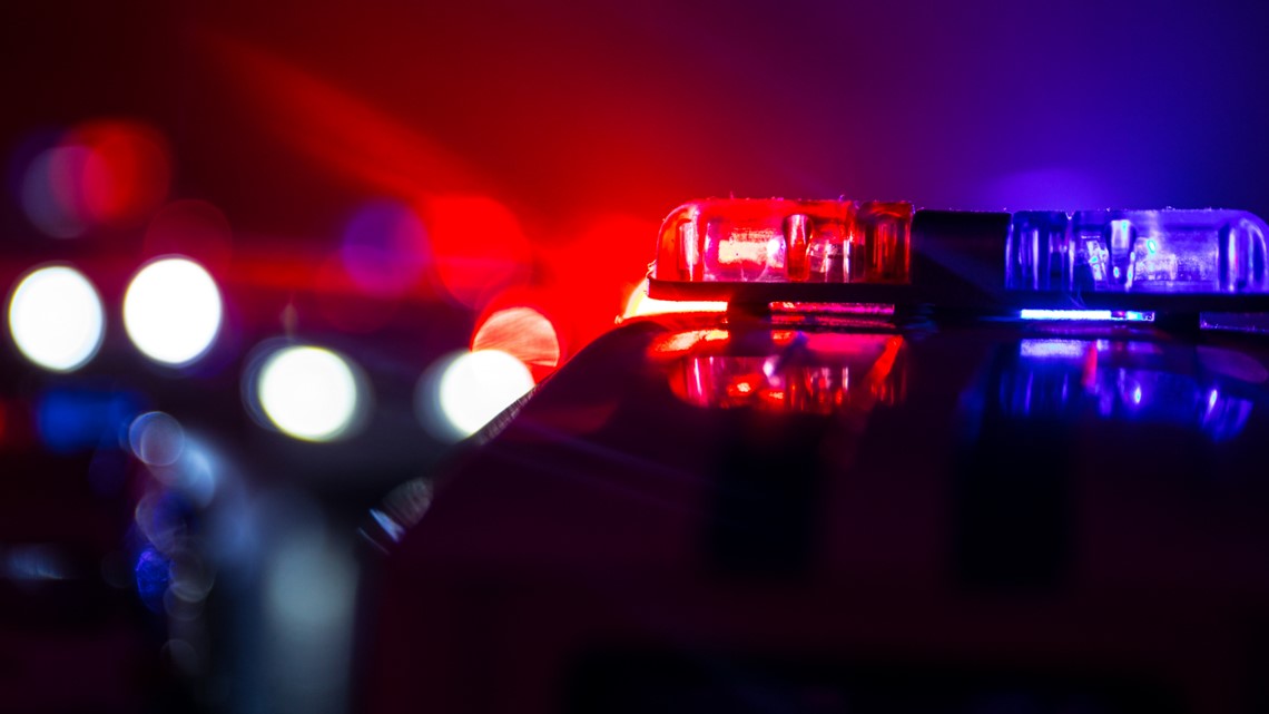 Massachusetts man, 31, dragged by bear after fatal crash - Vimarsana News
