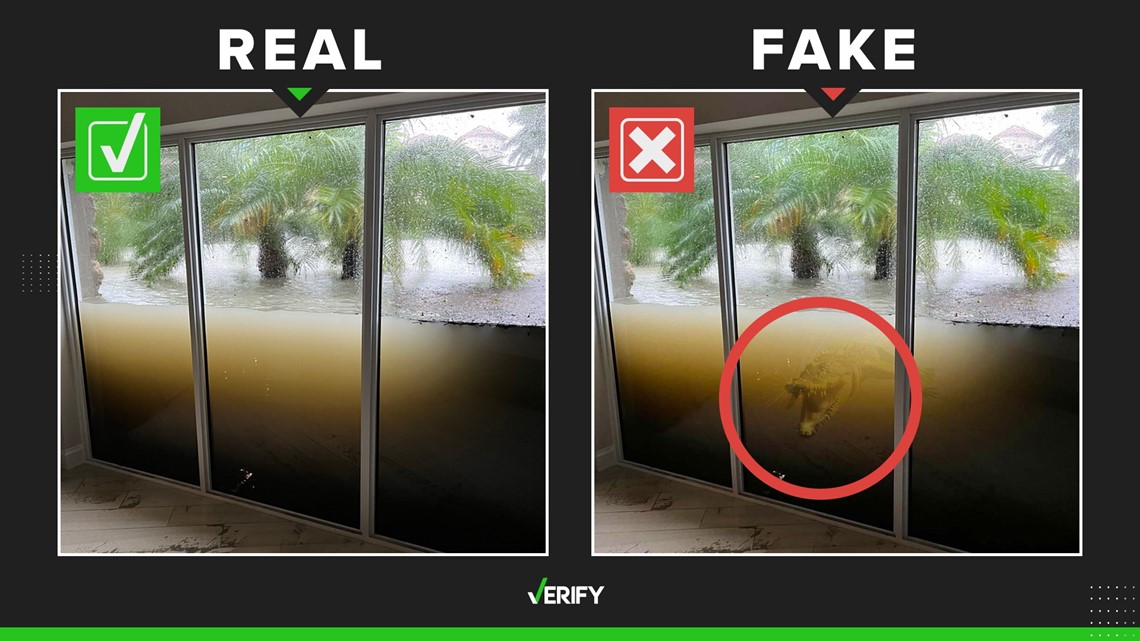 Photo showing window holding back Ian water in Naples is real - Vimarsana News