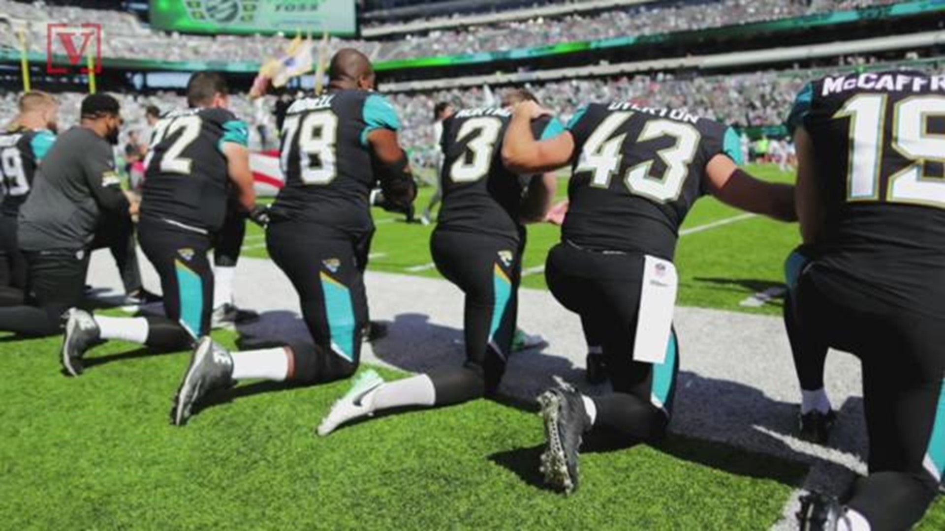 Tampa Bay Rays suspend Papa John's pizza promo