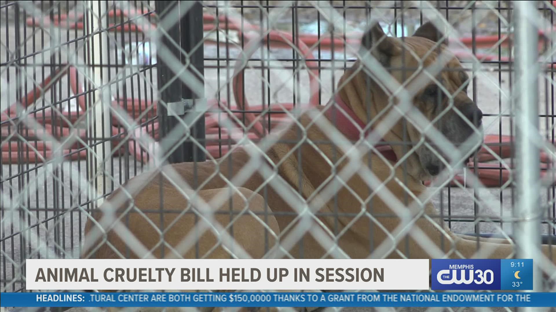 SB 2261, or Buddy's Law, would require youth who torture animals to undergo psychological assessment and treatment.