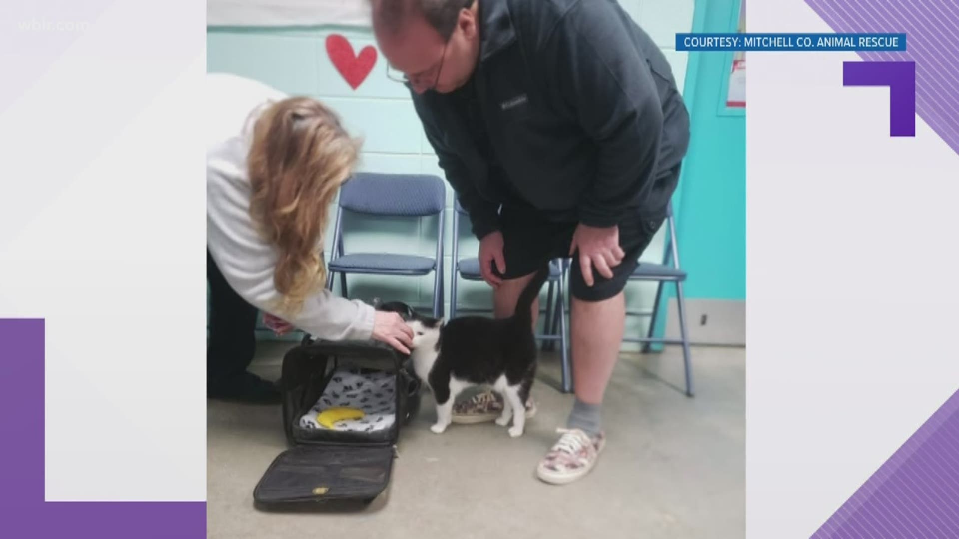 A cat dubbed the "world's worst" has a new home in east Tennessee, and it turns out she might not be so bad after all.