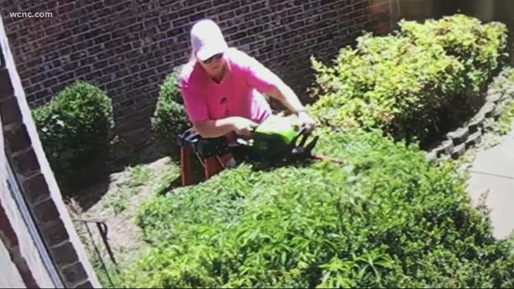Caught on camera: Mooresville woman bit by snake while trimming hedges