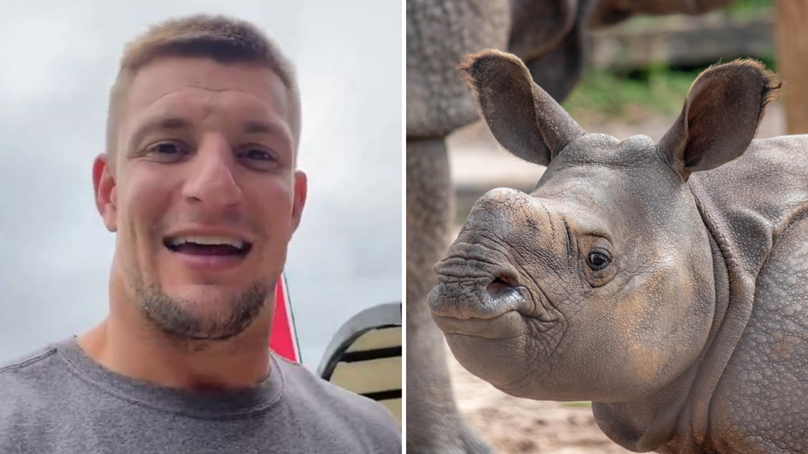 Rob Gronkowski Finally Addresses Viral 'Baby Gronk' Controversy