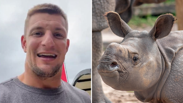 'He is so handsome': Rob Gronkowski is very proud of his baby rhino