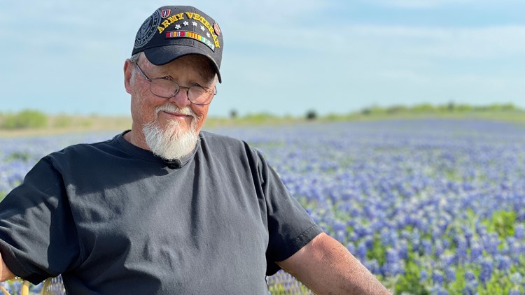 'I got plenty,' says Vietnam veteran whose bluebonnet fields are nothing short of breathtaking