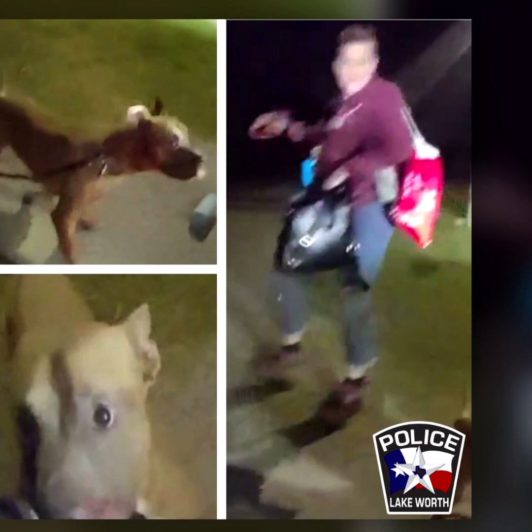 North Texas woman recovering after violent dog attack at park | wtsp.com