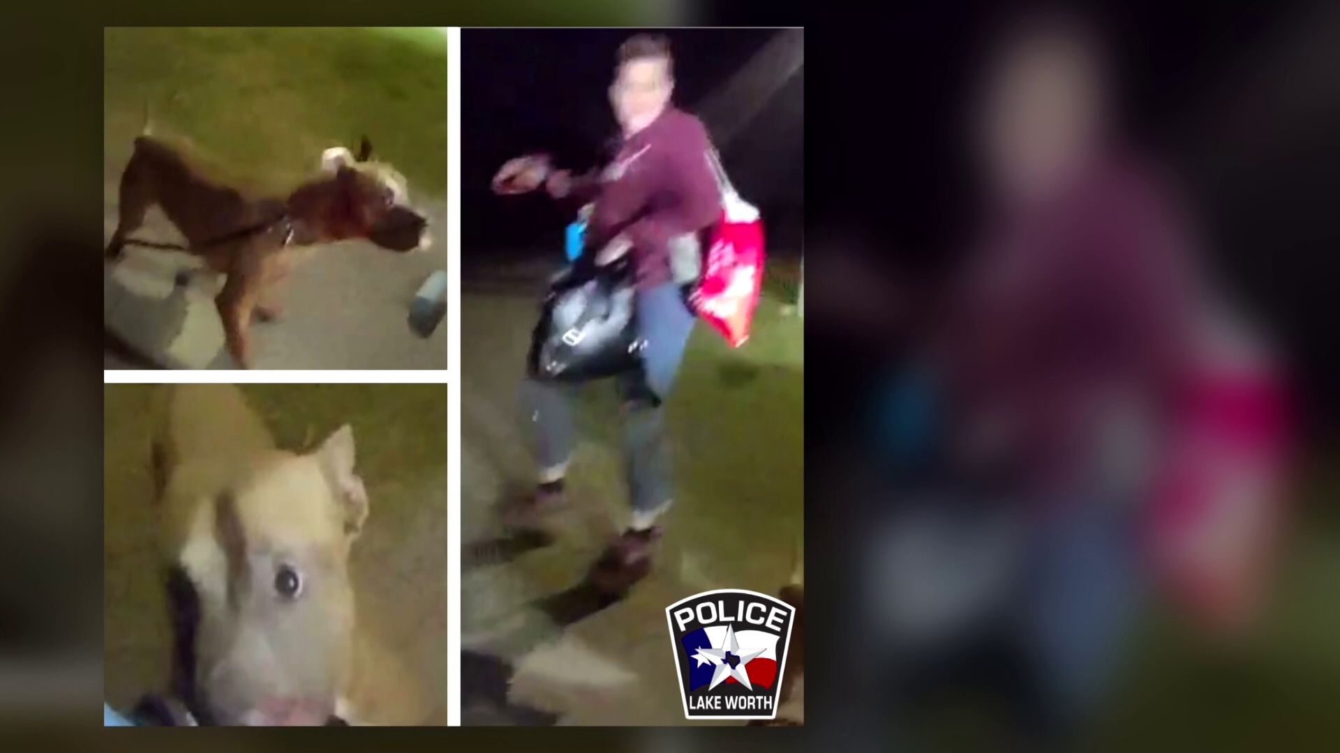 North Texas woman recovering after violent dog attack at park | wtsp.com
