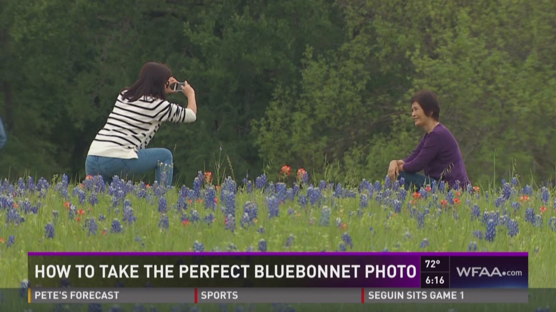 It's that time of year in Texas, when bluebonnets bloom as far as the eye can see in the countryside. News 8's Sebastian Robertson has some tips if you're heading out to take pictures amongst the flowers.