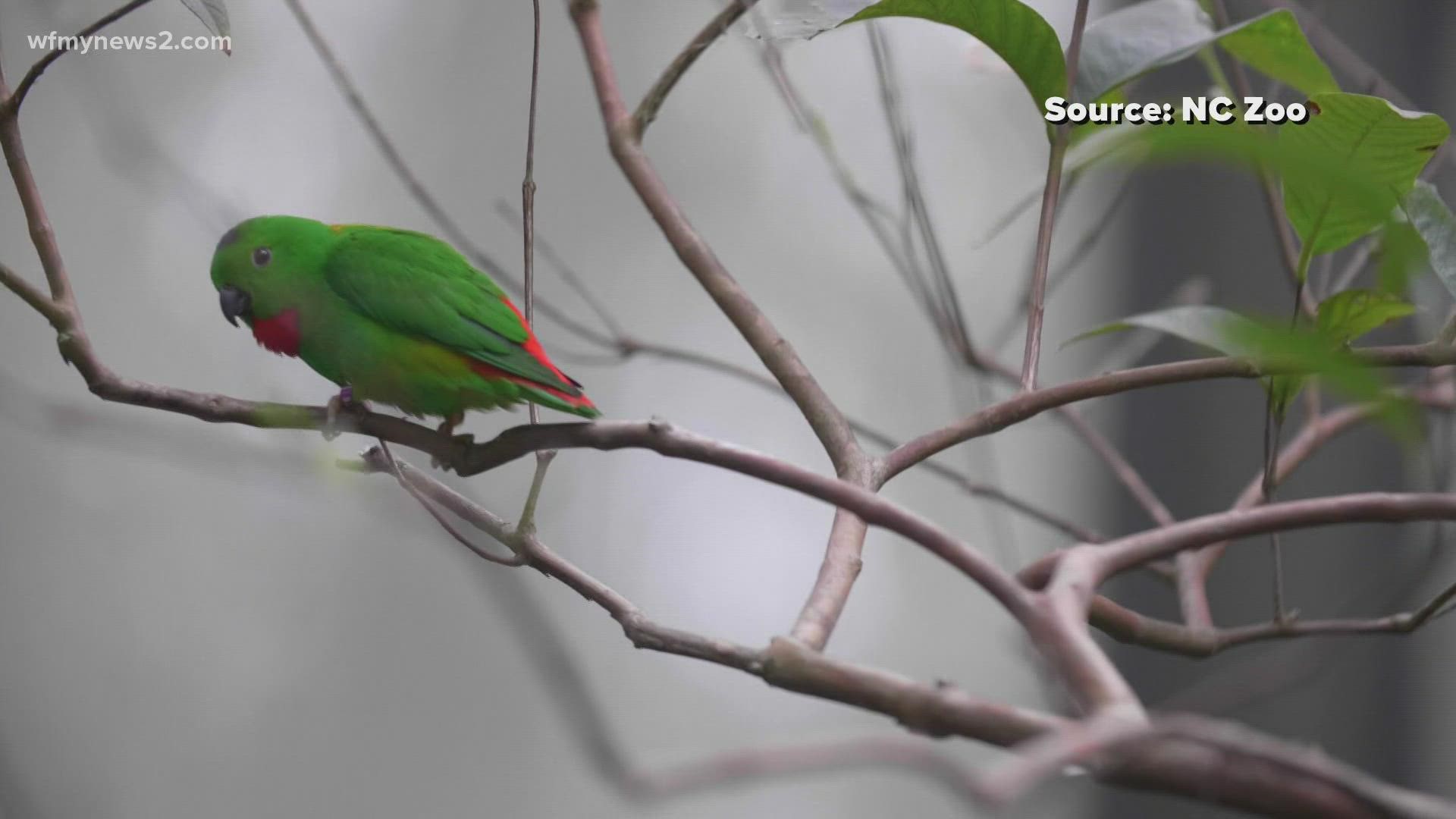 The zoo closed the aviary. An inspection showed the desert exhibit needs $1.6 million in repairs.