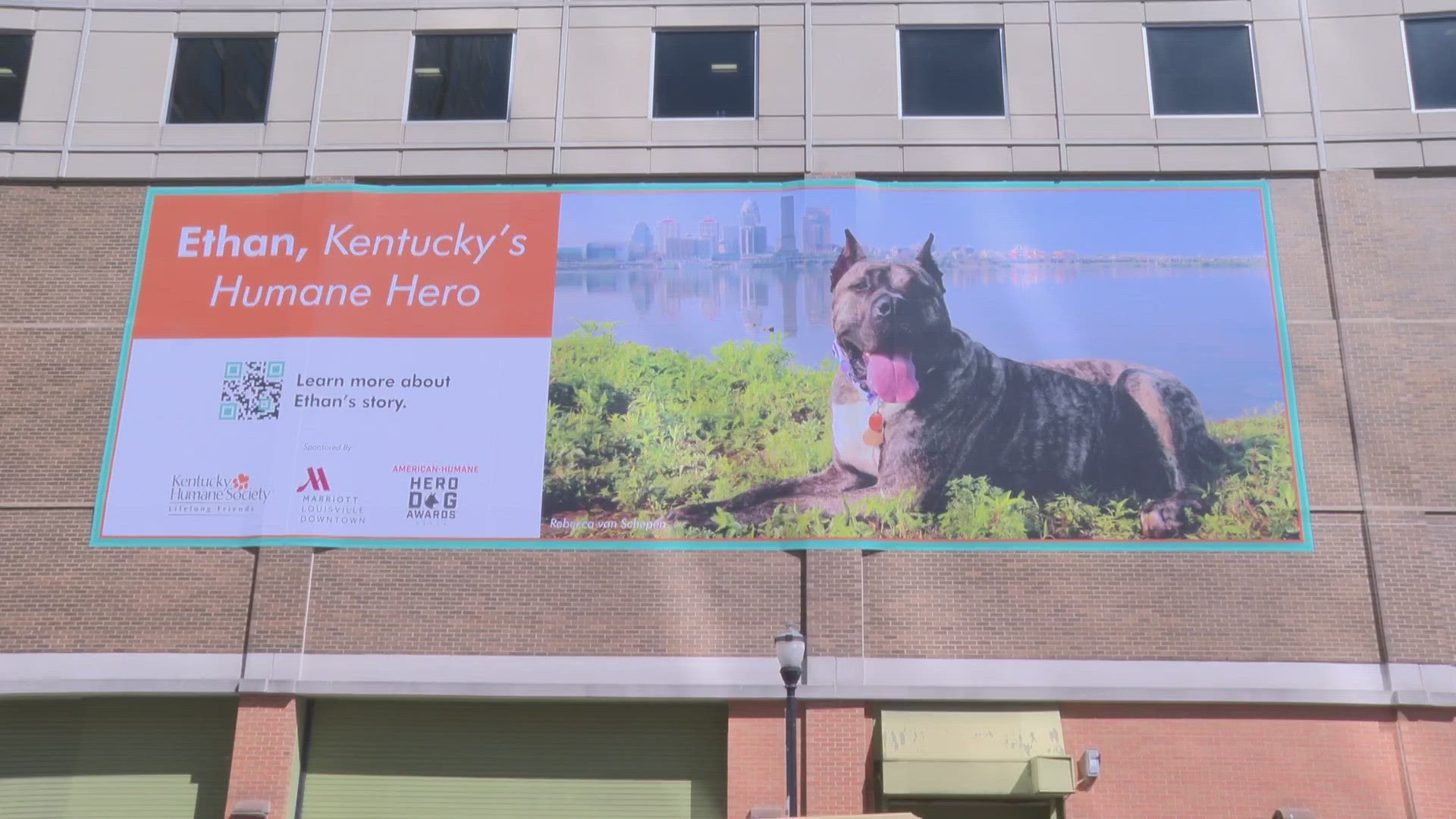 Ethan was abandoned and left for dead in 2021; now he has a 60-foot banner in downtown Louisville.