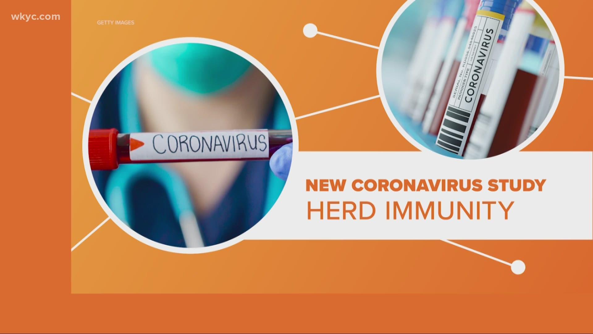 Will herd immunity happen naturally to beat coronavirus? Here's what experts are saying after a recent study concluded.