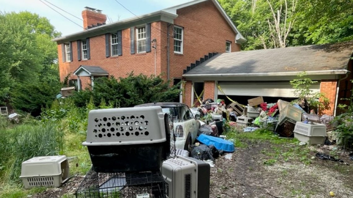Portage County: 146 dead dogs found in Ohio home - Vimarsana News
