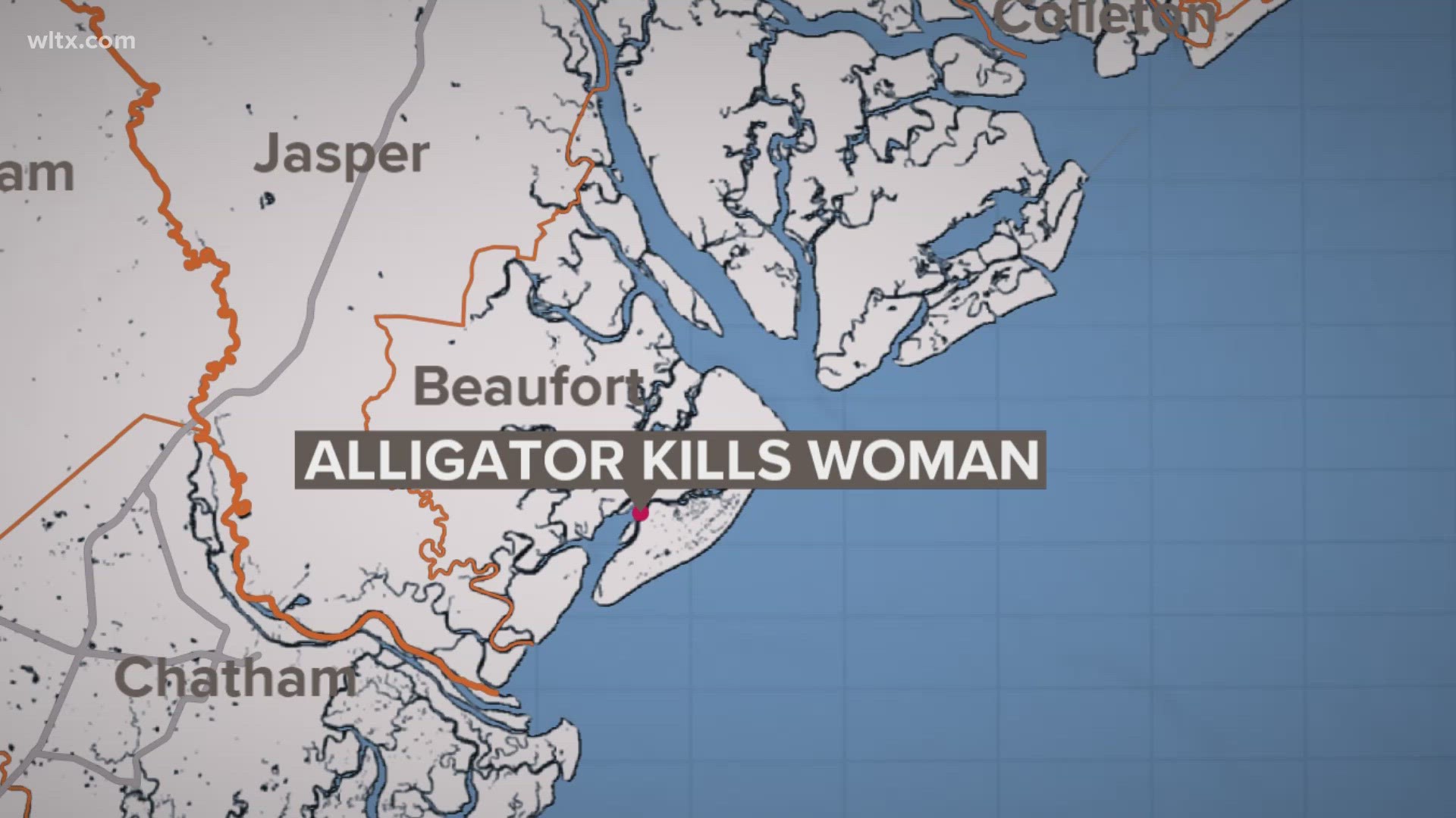 Deputies say they were able to determine that the woman had been walking her dog earlier in the morning when the attack happened.