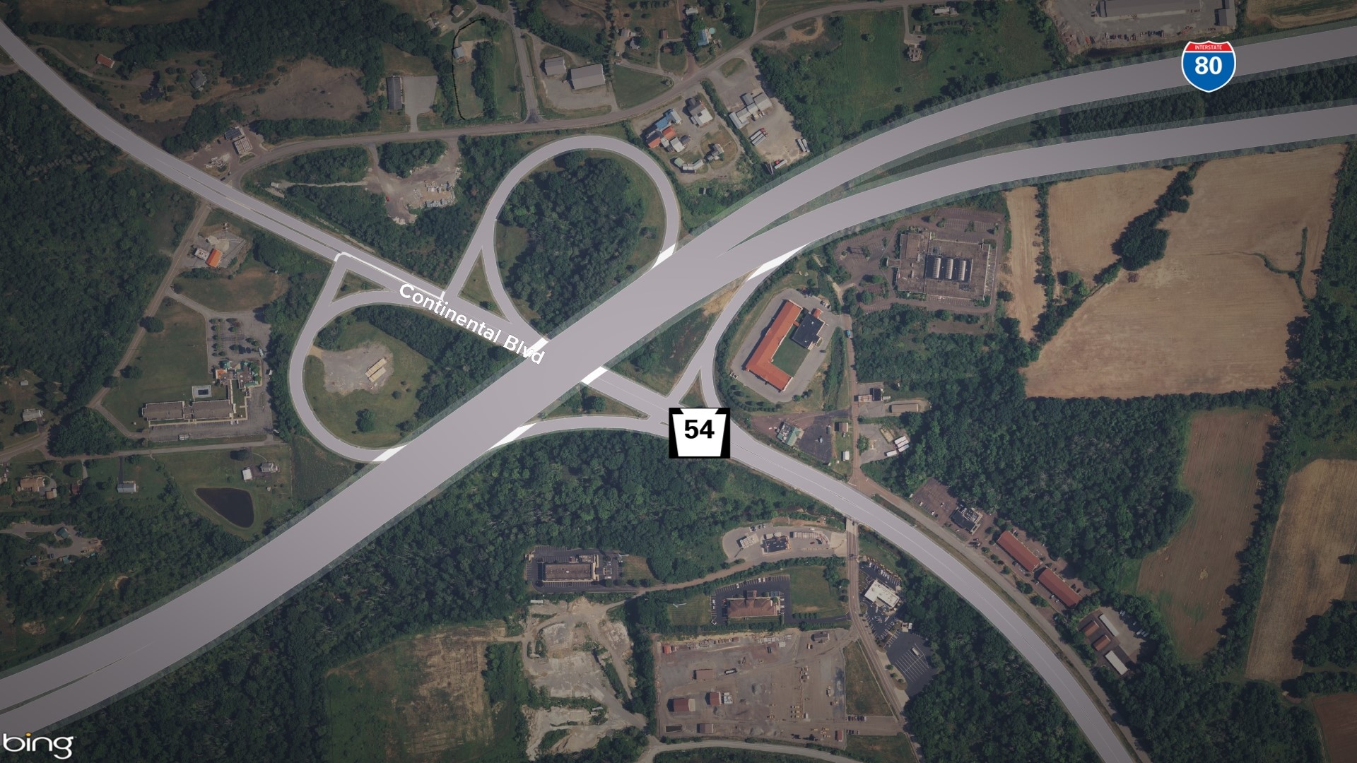 CDC Three monkeys caught and euthanized after crash near Danville