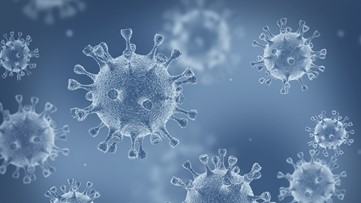 Florida coronavirus cases, hospitalizations, deaths, vaccinations and recoveries